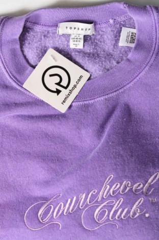 Γυναικεία μπλούζα Topshop, Μέγεθος L, Χρώμα Βιολετί, Τιμή 9,28 €