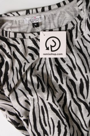 Γυναικεία μπλούζα True Spirit, Μέγεθος M, Χρώμα Πολύχρωμο, Τιμή 2,35 €