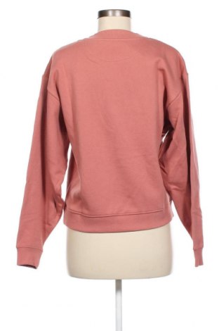 Damen Shirt Wrangler, Größe S, Farbe Aschrosa, Preis 34,18 €