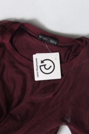 Γυναικεία μπλούζα Zara, Μέγεθος S, Χρώμα Βιολετί, Τιμή 12,37 €