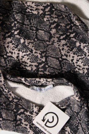 Bluză de femei Zara, Mărime S, Culoare Gri, Preț 16,45 Lei