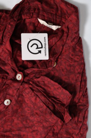 Damenbluse Clockhouse, Größe M, Farbe Rot, Preis € 3,65