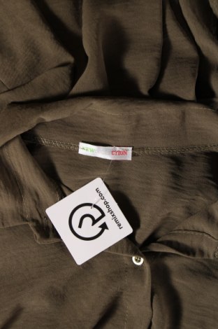 Γυναικείο πουκάμισο Collection, Μέγεθος XXL, Χρώμα Πράσινο, Τιμή 11,13 €