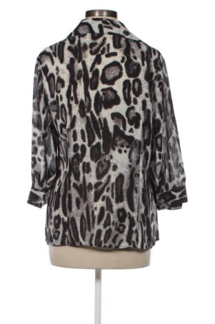 Γυναικείο πουκάμισο Fabiani, Μέγεθος L, Χρώμα Πολύχρωμο, Τιμή 4,16 €