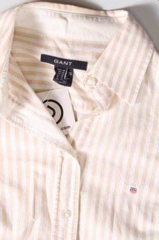 Γυναικείο πουκάμισο Gant, Μέγεθος L, Χρώμα  Μπέζ, Τιμή 33,40 €