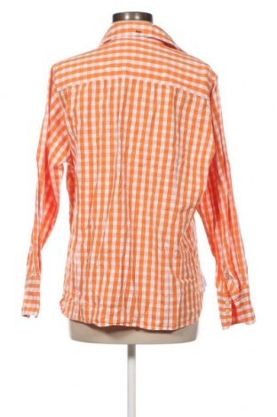 Γυναικείο πουκάμισο Park Lane, Μέγεθος XXL, Χρώμα Πολύχρωμο, Τιμή 6,18 €