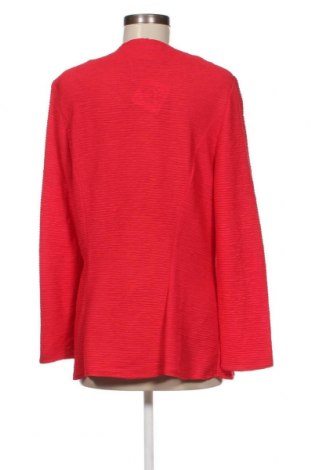 Damenbluse Schmeinck, Größe L, Farbe Rot, Preis € 7,49