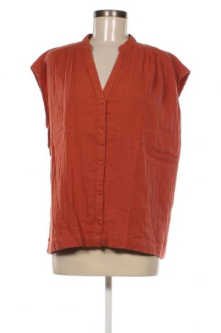 Γυναικείο πουκάμισο Stella Forest, Μέγεθος M, Χρώμα Καφέ, Τιμή 34,79 €