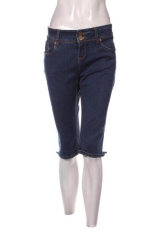Γυναικείο Τζίν, Μέγεθος XL, Χρώμα Μπλέ, Τιμή 9,47 €