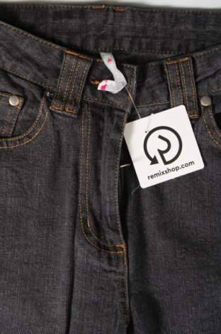 Damen Jeans Blancheporte, Größe XS, Farbe Grau, Preis € 3,03