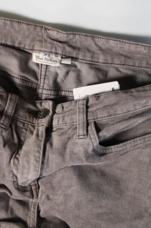 Pantaloni de velvet de femei Blue Motion, Mărime M, Culoare Gri, Preț 20,99 Lei