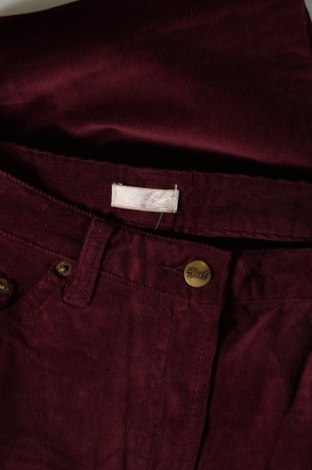Γυναικείο κοτλέ παντελόνι Cheer, Μέγεθος L, Χρώμα Βιολετί, Τιμή 9,25 €