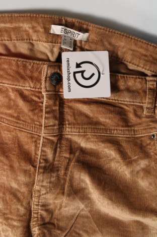 Γυναικείο κοτλέ παντελόνι Esprit, Μέγεθος XL, Χρώμα Καφέ, Τιμή 4,49 €