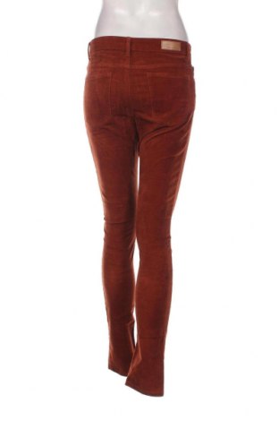 Pantaloni de velvet de femei Hema, Mărime M, Culoare Maro, Preț 20,99 Lei