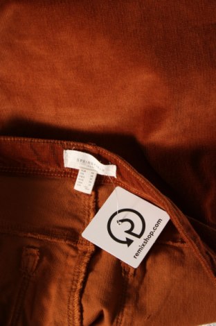 Γυναικείο κοτλέ παντελόνι Springfield, Μέγεθος XL, Χρώμα Καφέ, Τιμή 10,87 €