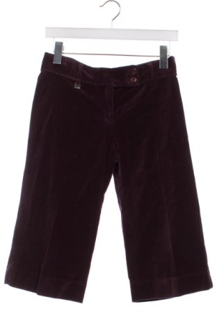 Дамски къс панталон BCBG Max Azria, Размер S, Цвят Лилав, Цена 61,20 лв.