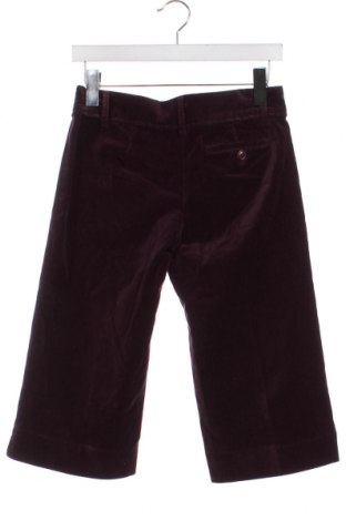 Дамски къс панталон BCBG Max Azria, Размер S, Цвят Лилав, Цена 47,60 лв.