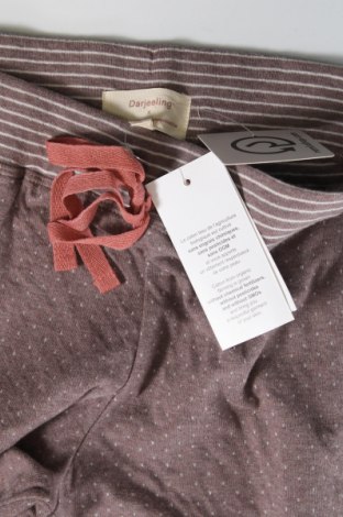 Damen Shorts Darjeeling, Größe XS, Farbe Beige, Preis 6,87 €