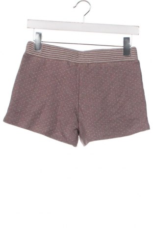 Damen Shorts Darjeeling, Größe XS, Farbe Beige, Preis 6,87 €