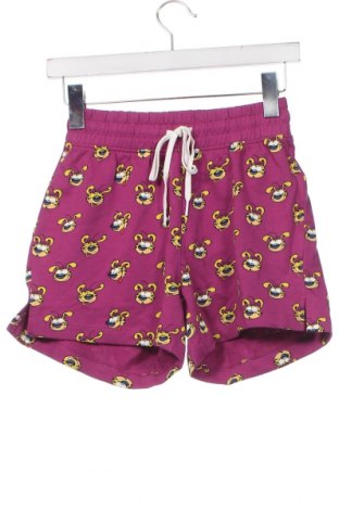 Damen Shorts Undiz, Größe XS, Farbe Lila, Preis 18,56 €