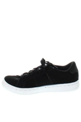 Damenschuhe DC Shoes, Größe 37, Farbe Schwarz, Preis 32,51 €