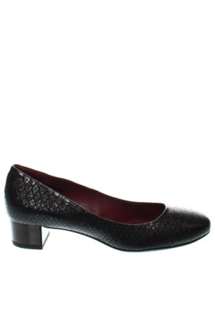 Дамски обувки Gino Rossi, Размер 37, Цвят Черен, Цена 132,00 лв.