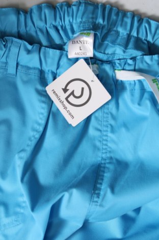 Damenhose, Größe L, Farbe Blau, Preis 7,95 €