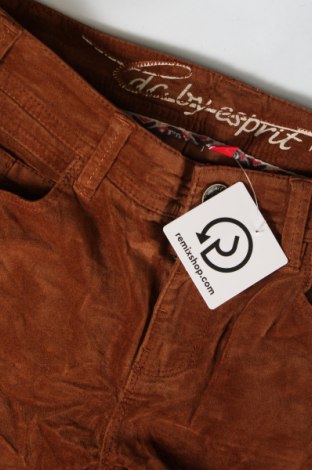 Дамски панталон Edc By Esprit, Размер XS, Цвят Кафяв, Цена 8,12 лв.