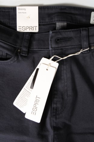 Damenhose Esprit, Größe M, Farbe Blau, Preis 44,85 €