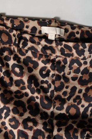 Damenhose H&M, Größe S, Farbe Mehrfarbig, Preis € 3,23