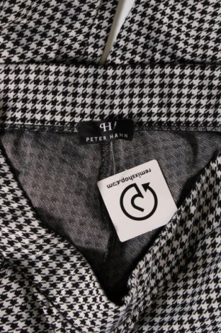 Γυναικείο παντελόνι Peter Hahn, Μέγεθος XL, Χρώμα Πολύχρωμο, Τιμή 14,55 €