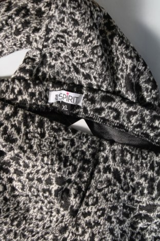 Γυναικείο παντελόνι True Spirit, Μέγεθος XL, Χρώμα Πολύχρωμο, Τιμή 3,77 €