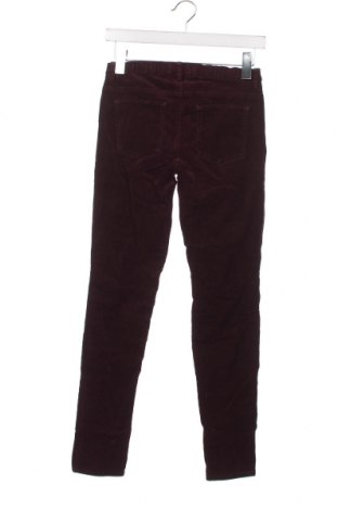 Pantaloni de femei Uniqlo, Mărime XS, Culoare Mov, Preț 25,76 Lei