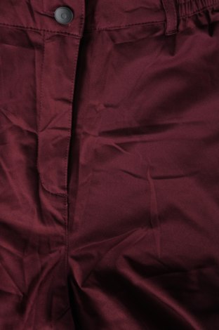 Дамски панталон за зимни спортове, Размер M, Цвят Розов, Цена 36,00 лв.