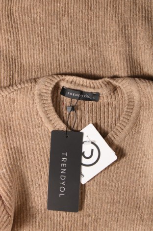 Damenpullover Trendyol, Größe L, Farbe Braun, Preis € 15,70