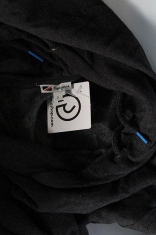 Damen Sweatshirt Pepe Jeans, Größe S, Farbe Grau, Preis 23,66 €