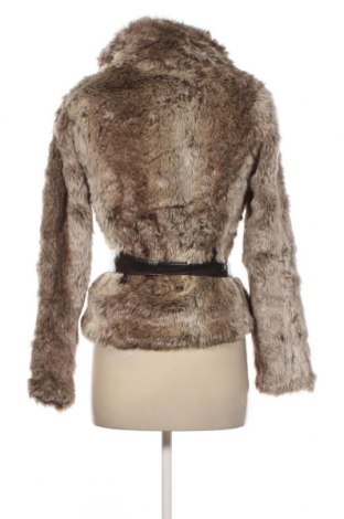 Γυναικείο παλτό Mim, Μέγεθος S, Χρώμα Καφέ, Τιμή 66,19 €