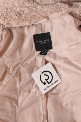 Γυναικείο παλτό New Look, Μέγεθος S, Χρώμα  Μπέζ, Τιμή 18,53 €