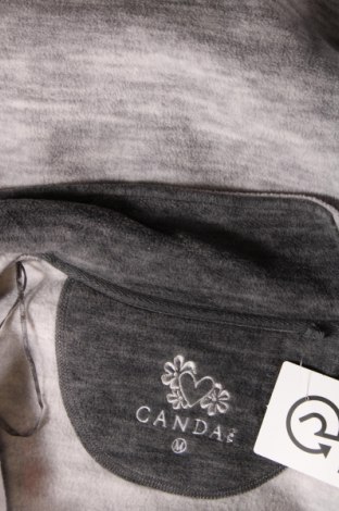 Γυναικεία ζακέτα fleece Canda, Μέγεθος M, Χρώμα Γκρί, Τιμή 6,03 €