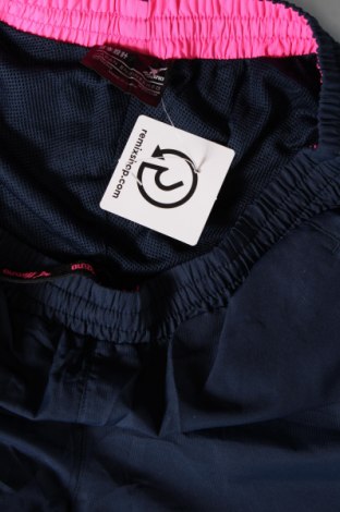 Γυναικείο αθλητικό παντελόνι, Μέγεθος M, Χρώμα Μπλέ, Τιμή 5,02 €