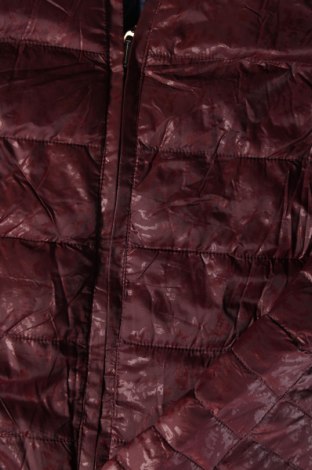 Dámska bunda , Veľkosť M, Farba Hnedá, Cena  5,17 €