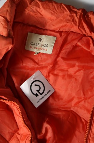 Damenjacke, Größe XL, Farbe Orange, Preis 33,40 €