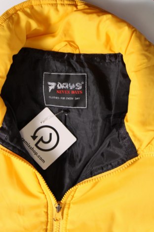 Dámska bunda , Veľkosť L, Farba Žltá, Cena  18,09 €