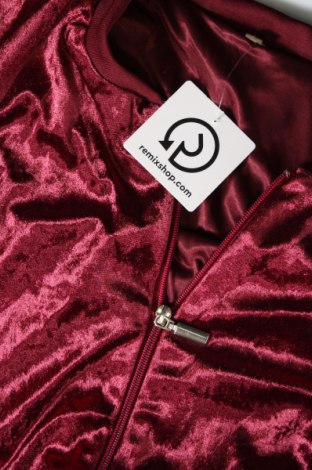Damenjacke, Größe L, Farbe Rot, Preis € 8,59