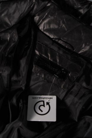 Damenjacke Concept K, Größe L, Farbe Schwarz, Preis 40,36 €