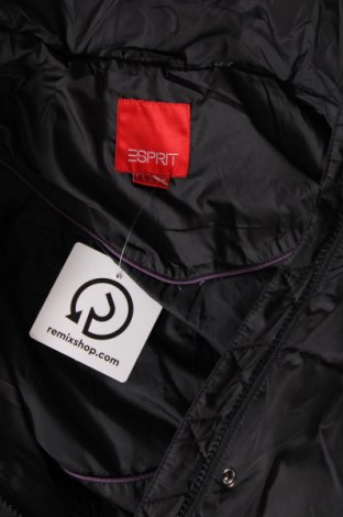 Γυναικείο μπουφάν Esprit, Μέγεθος L, Χρώμα Μαύρο, Τιμή 8,35 €