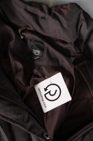 Γυναικείο μπουφάν Esprit, Μέγεθος M, Χρώμα Γκρί, Τιμή 10,02 €