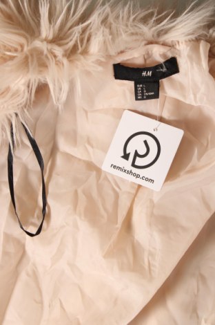 Dámska bunda  H&M, Veľkosť L, Farba Béžová, Cena  8,22 €