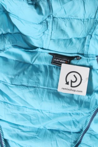 Dámska bunda  Icepeak, Veľkosť L, Farba Modrá, Cena  27,22 €