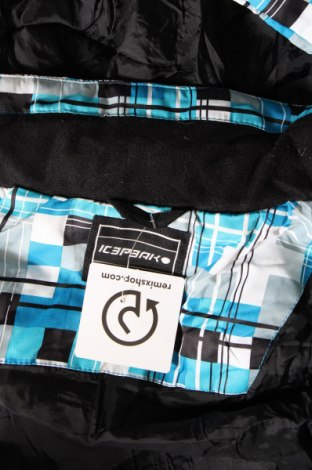 Dámská bunda pro zimní sporty  Icepeak, Velikost M, Barva Modrá, Cena  1 089,00 Kč